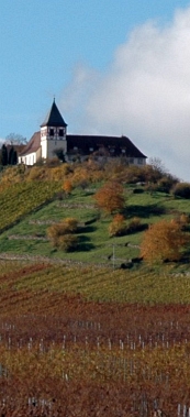 Michaelsberg cleebronn